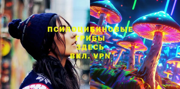 гашик Беломорск