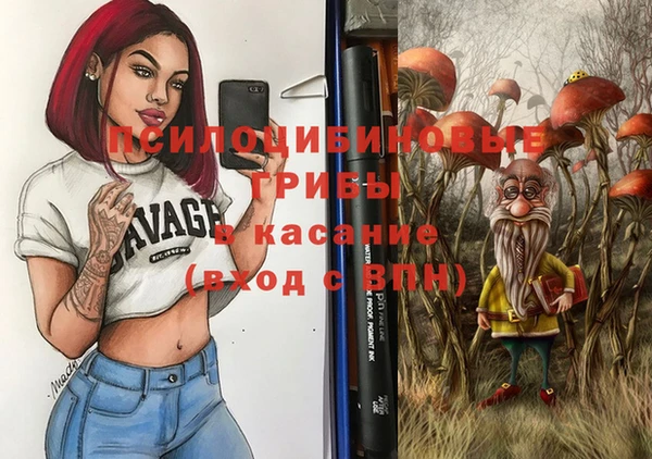 гашик Беломорск