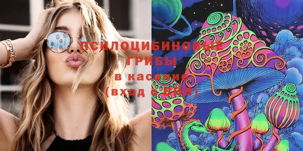 гашик Беломорск