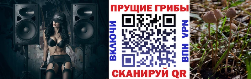 Псилоцибиновые грибы ЛСД  MEGA ссылка  Верхотурье 